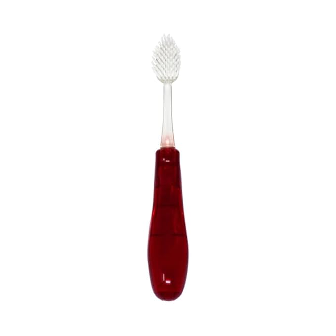 RADIUS Tour Travel Brush & Case With Replaceable Brush Head ADA Accepted Toothbrush Improve Gum Health - Red - Pack of 1