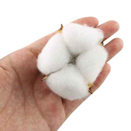 Tegg Cotton Boll 20PCS Natural White Cotton Balls Dried Cotton Pods for Crafting Farmhouse Style