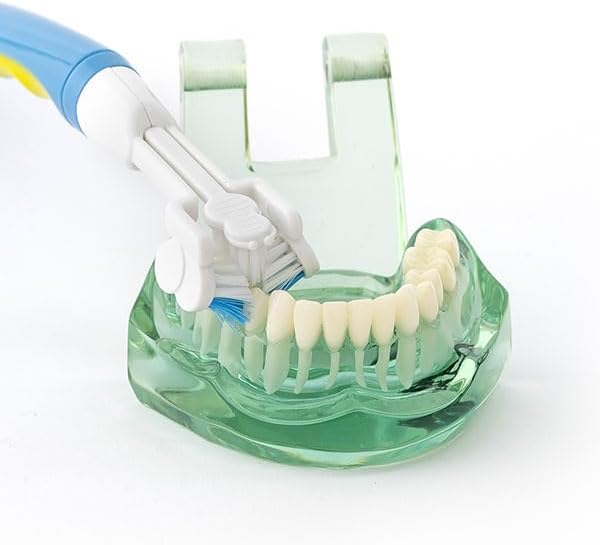 Triple Bristle Brush and Bite Handle Replacement Brush Head Combo | Special Needs & Autism Mouth Prop Toothbrush | Ergonomic Handle w/Bite Block | Patented 3 Head Design | Kids & Adults