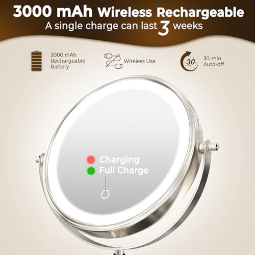 8" Wall Mounted Lighted Makeup Mirror, 3000mAh Rechargeable Double Sided 1X/10X Magnifying Mirror with Hook, 3 Color Lights Touch Dimmable 360¡Æ Rotation Vanity Mirror for Bathroom