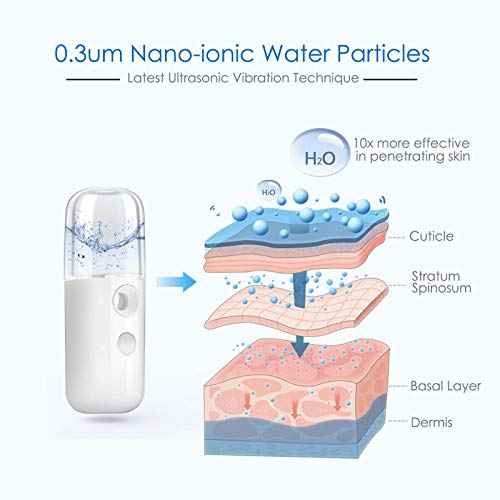 GIVERARE Nano Facial Steamer, Handy Mini Mister, USB Rechargeable Mist Sprayer, 30ml Visual Water Tank Moisturizing&Hydrating for Face, Daily Makeup, Skin Care, Eyelash Extensions-White