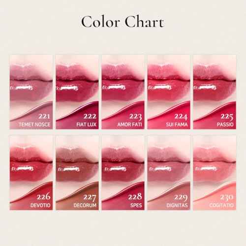 DINTO Blur-Glowy Lip Tint - Glossy Finish, Hydrating, Long Lasting, Lightweight Texture, Non-Sticky, Vegan & Cruelty-Free, K beauty (219 Ave Maria, 0.11 fl.oz)