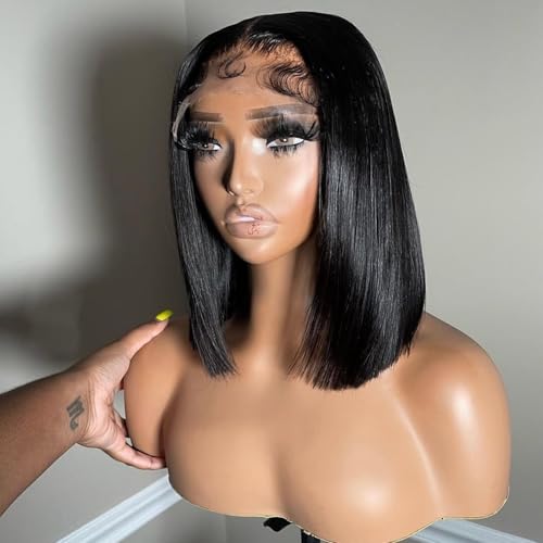 Bob Wig Human Hair 10inch Straight Bob Wig 100% Brazilian Human Hair,13x4 HD Bob Lace Front Wigs Human Hair Natural Black Bob Wigs Human Hair Pre Cut 12A Double Drawn Bob Wig 220 Density