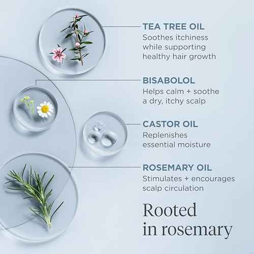 Briogeo Scalp Revival Rosemary Pre-Wash Oil, Hair and Scalp, Dry Scalp Treatment for Stronger and Longer Hair, Soothe Dry Scalp, Lipids and Vitamins, Deep Moisture, Vegan, Cruelty-Free
