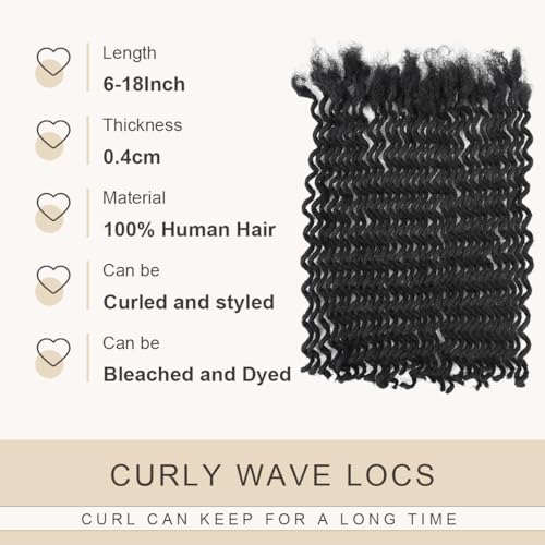 DAIXI Curly Wave Loc Extensions Human Hair, 100% Real Human Hair Dreadlock Extensions for Man/Women Handmade Permanent Dread Extensions Can Be Dyed Bleached Twisted (0.4cm, 1B, 10 Inch 30 Strands)