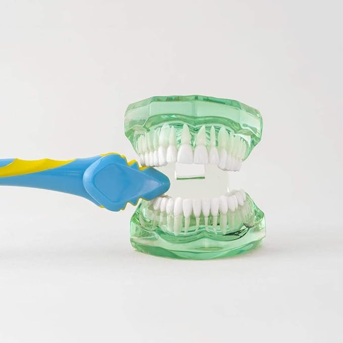 Triple Bristle Brush and Bite Handle Replacement Brush Head Combo | Special Needs & Autism Mouth Prop Toothbrush | Ergonomic Handle w/Bite Block | Patented 3 Head Design | Kids & Adults
