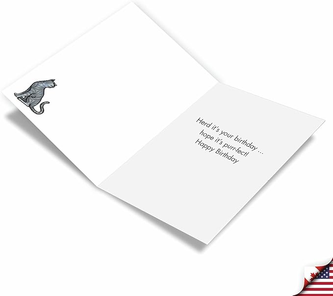 NobleWorks Pack of 3 Funny Birthday Greeting Cards with Envelopes (1 Designs, 3 Each) Herd Anything C9285BDG-C3x1