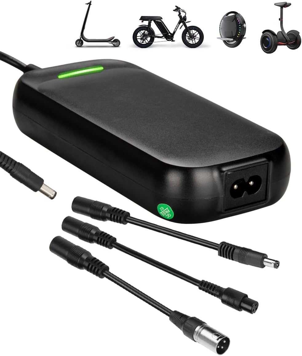 Xietongpo 54.6V 2A Fast Battery Charger with 5.5 * 2.1mm 1 Prong Plug and 3 Pin XLR Plug for 48V Lithium Battery