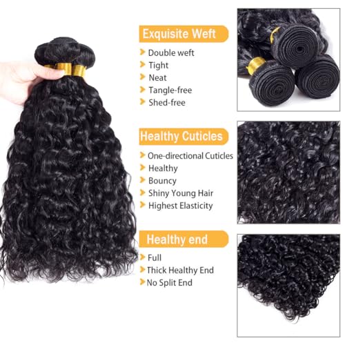 Water Wave Human Hair Bundles Brazilian Remy Water Wave 10A Curly Human Hair 3 Bundles Unprocessed Human Hair Extension Double Weft Natural Color for Black Women 18 20 22inch