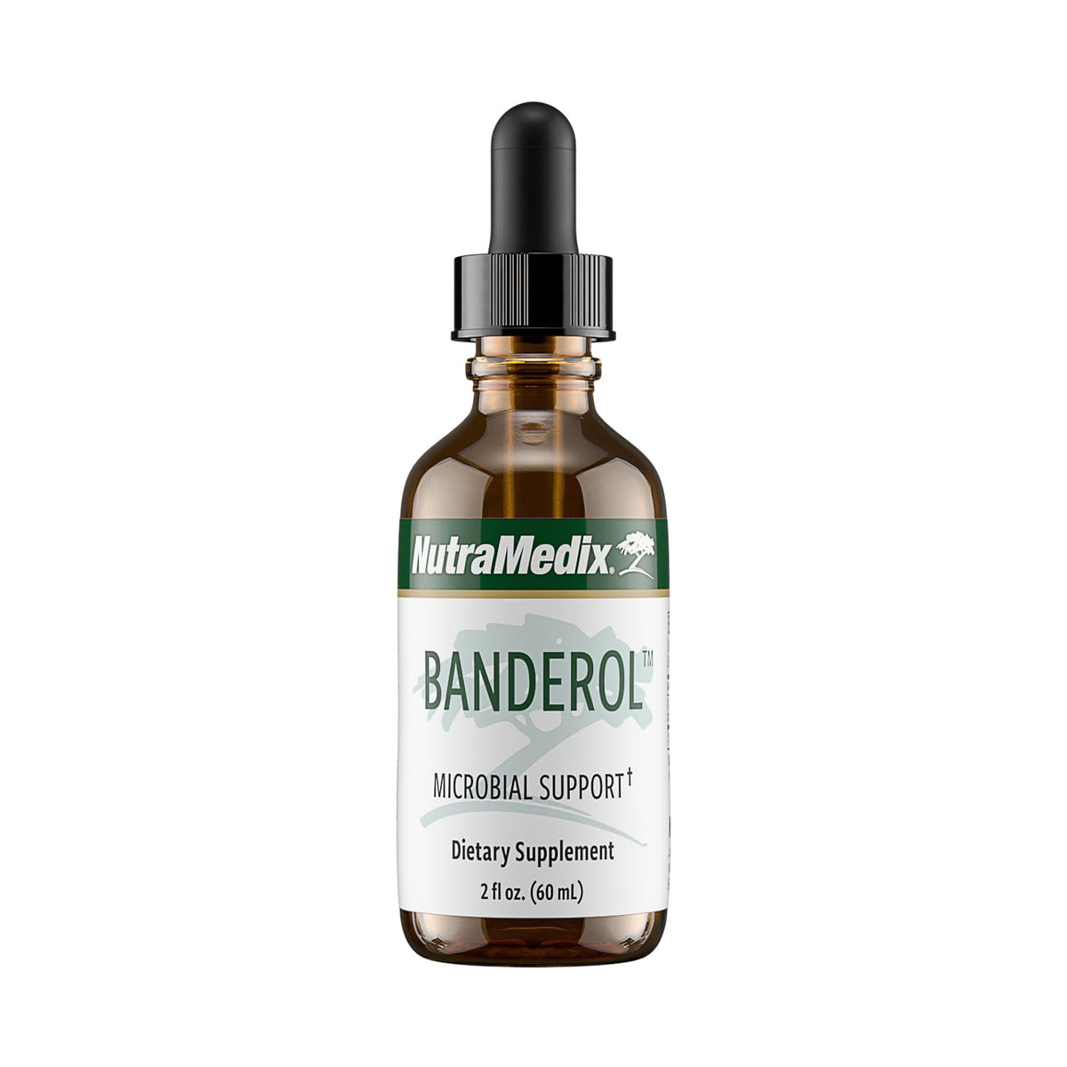 NutraMedix Daily Immune Support Supplement - Banderol Herbal Supplements for Immune System Support - Vegan Tincture - Bioavailable Otoba Bark Extract Liquid Drops (2 oz/60 ml)