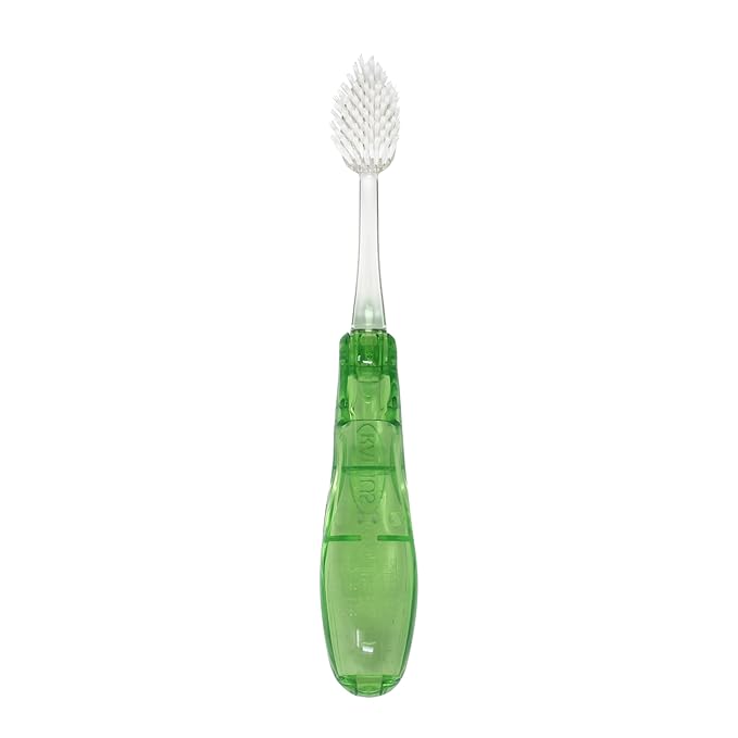 RADIUS Tour Travel Brush & Case with Replaceable Brush Head ADA Accepted Toothbrush Improve Gum Health - Green - Pack of 1