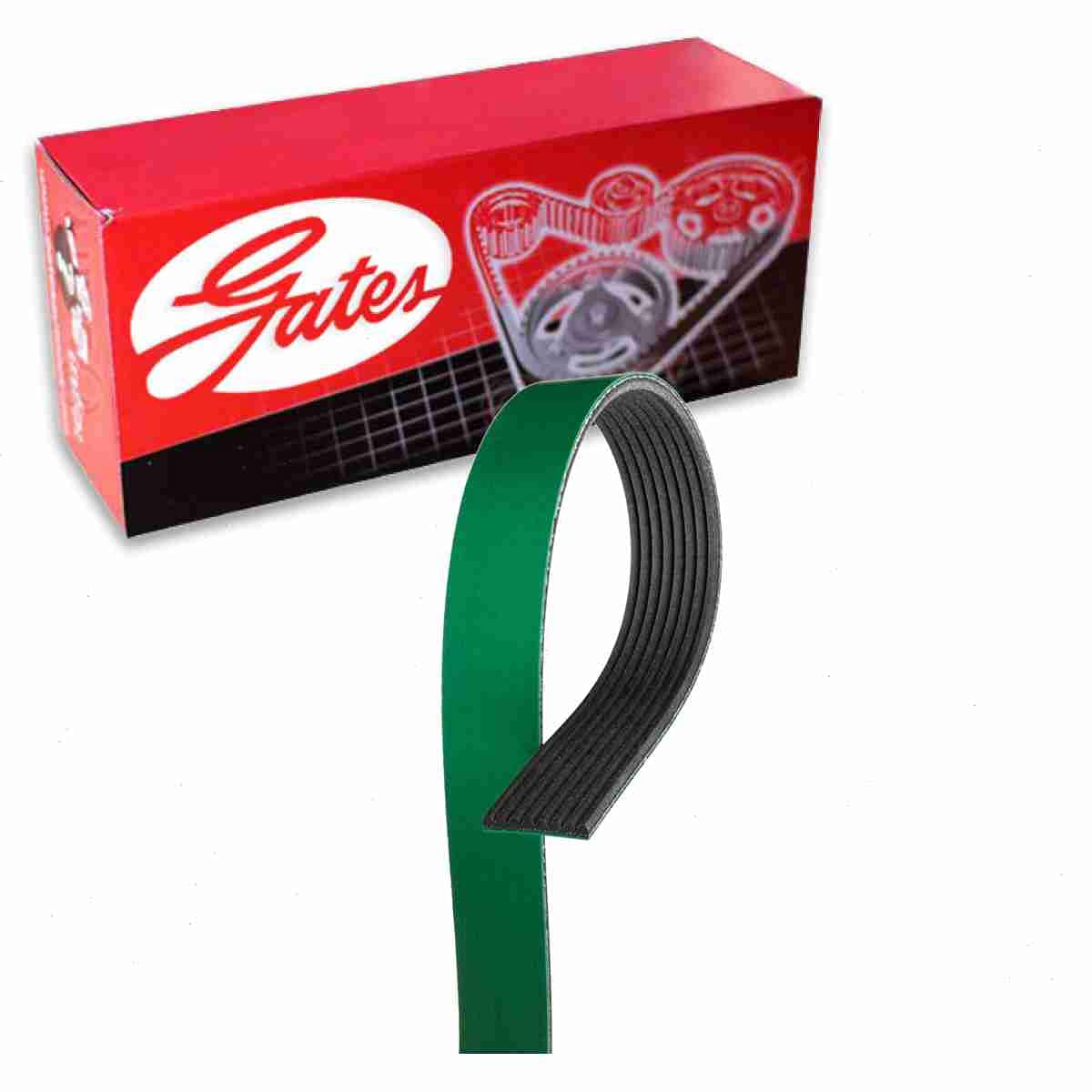Gates FleetRunner Micro-V Serpentine Belt compatible with Ram 2500 6.7L L6 2013-2018