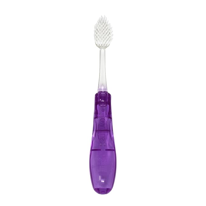 RADIUS Tour Travel Brush & Case with Replaceable Brush Head ADA Accepted Toothbrush Improve Gum Health - Purple - Pack of 1