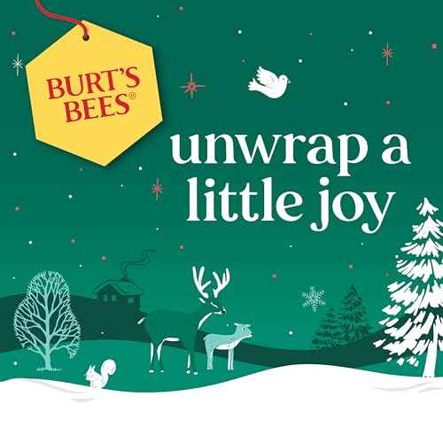 Burt's Bees Shimmer Lip Tint Stocking Stuffers Set, Tinted Lip Balm, Moisturizing for All Day Hydration with Natural Glowy Pigmented Finish & Buildable Color, Kissable Color, Warm Collection (3-Pack)