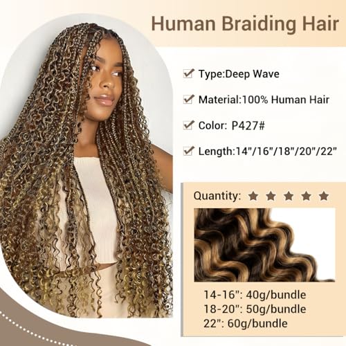 Human Braiding Hair for Boho Knotless Braids 2 Bundle 20 Inches 100g Deep Wave Bulk Human Hair for Braiding Hair Wet and Wavy 10A Brazilian Virgin Human Hair Balayage Brown to Blonde 4P27
