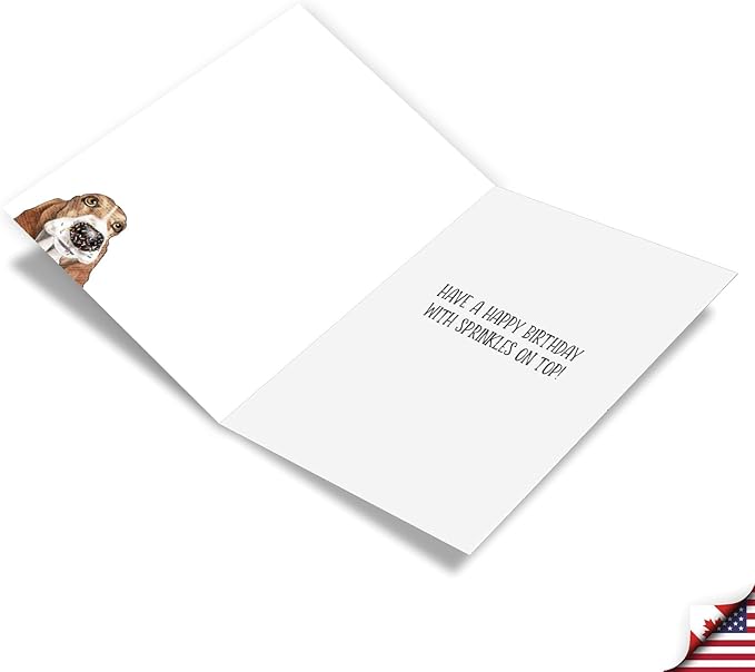 NobleWorks, Pack of 3 Birthday Greeting Cards with Envelopes (1 Design, 3 Each) Dog Antics - Sprinkle Nose C3639ABDG-C3x1
