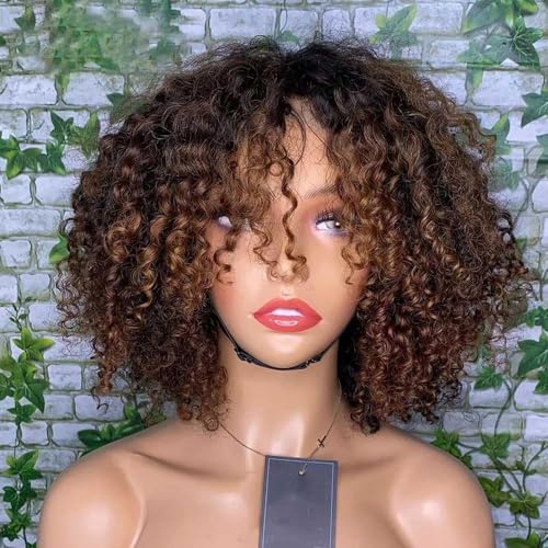 5x5 HD Lace Closure Wigs Human Hair 180% Density 1B/4 Highlight Bob Wig Human Hair Glueless Wigs Pre Plucked Short Curly Human Hair Wig Bleached Knots Ready to Wear (14inches)