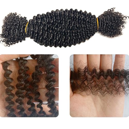 Afro Kinky Curly Bulk Human Hair for Twists/Braids/Permanent Micro Locs Bulk Human Hair Extensions For Braiding 100g/Bundles 22inch Natural Black