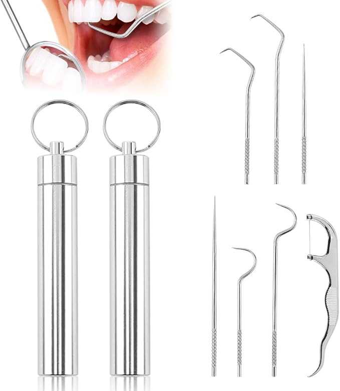 Stainless Steel Toothpick Set, Reusable Metal Toothpicks Cleaning Kit with Holder, Dental Picks Metal Dental Kit Oral Care Tools Toothpicks Pocket Set for Outdoor Picnic Camping Traveling (2 Set -A)