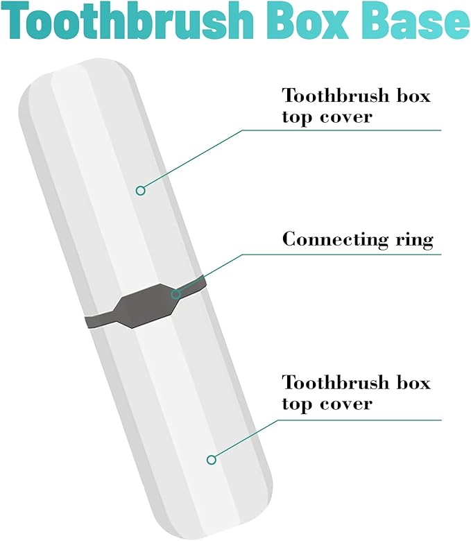 2Pcs Denture Cleaning Brush Kit False Teeth Toothbrushes with 1 White Carrying Case Travel Multi-Layered Soft Bristles Denture Cleaner Ergonomic Rubber Handle(Green and Purple)