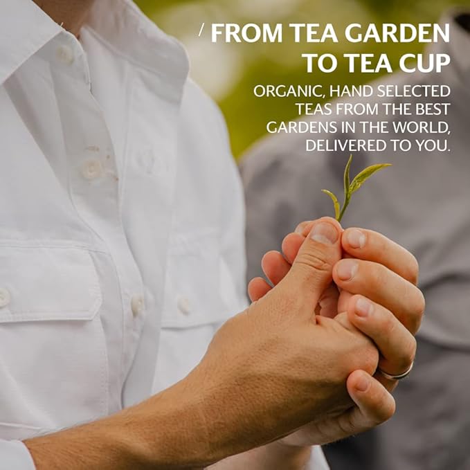 Grace Farms Organic Rise Wellness Blend Tea, 16 Ct