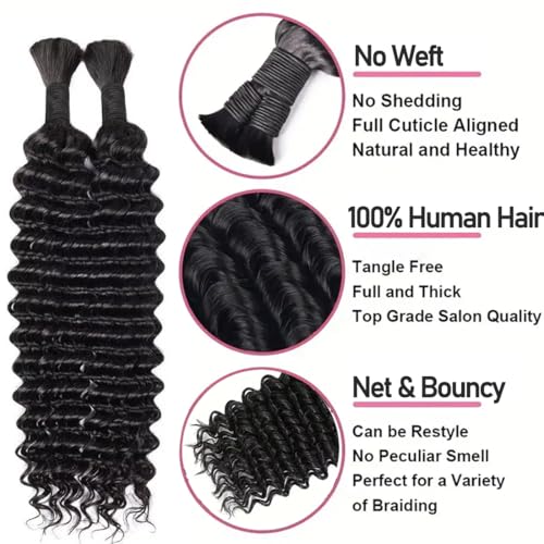 Human Braiding Hair Deep Wave Bulk Human hair for Braiding Natural Black Color No Weft Human Hair Bundles Micro Virgin Human Hair Extension for Boho Braids (100g(2bundles), 26 Inch)