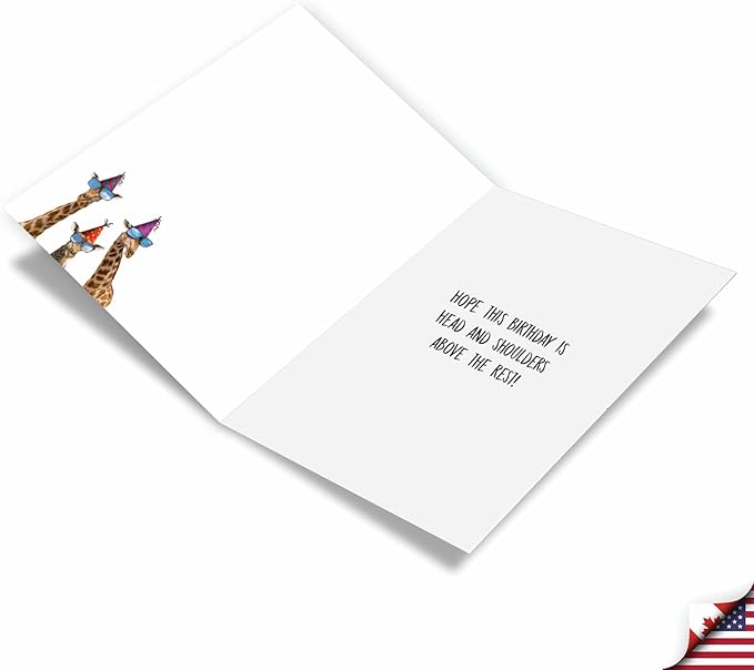 NobleWorks Pack of 3 Humorous Birthday Greeting Cards with Envelopes (1 Designs, 3 Each) Cool Giraffes C6335BDG-C3x1