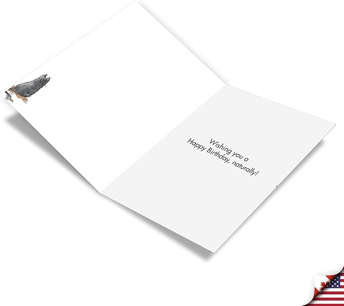 NobleWorks Funny Birthday Greeting Card with 5 x 7 Inch Envelope (1 Card) Bday Hole Foods C2684BDG-UA