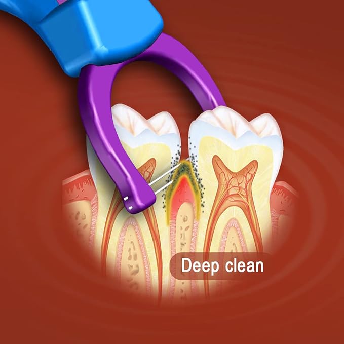 T.Smile Evolutionary Clean Dental Flossers, Kit of Refills Plus Long Handle (1 Handle + 100 Refills)
