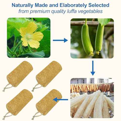 Natural Loofah Sponge (4 Packs), 6¡° Natural Loofah Exfoliating Body Scrubber Egyptian Loofa Eco 100% All Natural luffa Cleaning for Men Women Deep Clean Skin