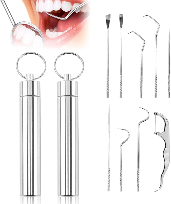 Stainless Steel Toothpick Set, Reusable Metal Toothpicks Cleaning Kit with Holder, Dental Picks Metal Dental Kit Oral Care Tools Toothpicks Pocket Set for Outdoor Picnic Camping Traveling (2 Set -B)
