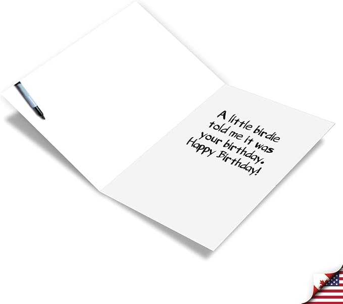 NobleWorks Pack of 3 Funny Birthday Greeting Cards with Envelopes (1 Design, 3 Each) Empty Bird Feeder C2561BDG-C3x1