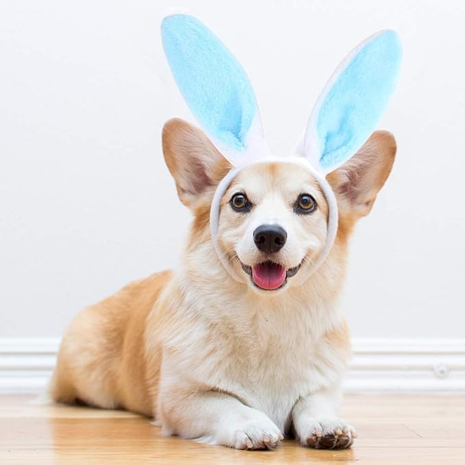 HANSGO 6PCS Easter Bunny Ears Headband, Cute Colorful Bunny Hairbands for Easter Party Dressup Party Favor