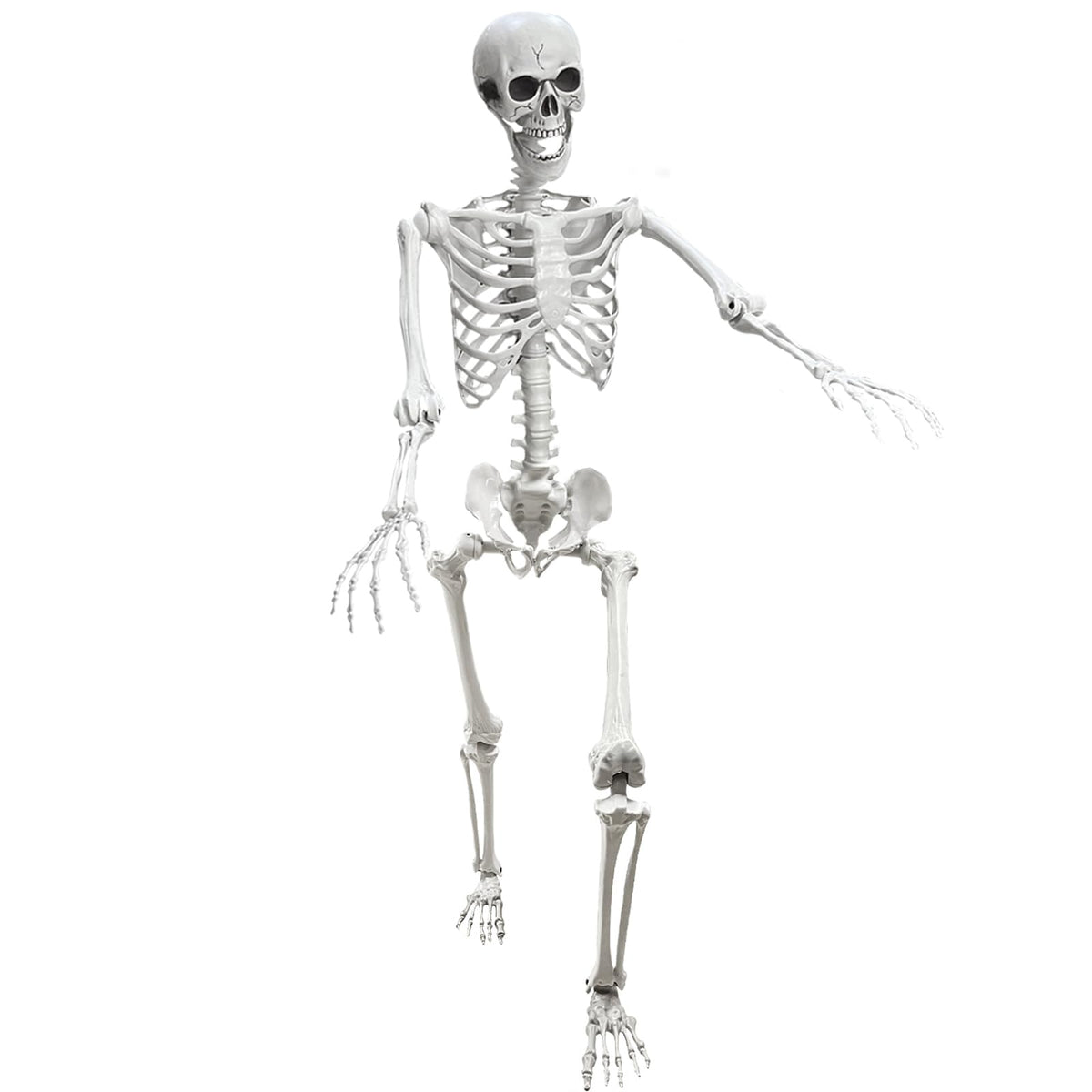 Lodou 5.4Ft Posable Life Size Human Adult Skeletons Plastic Human Bones with Movable Joints for Halloween Decoration