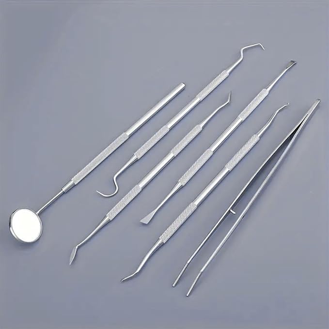 Stainless Steel Dental Kit - 6 Pack Dental Tools with Tooth Mirror, Dental Hygiene Kit for Adults, Kids, Dogs with Mirror, Picks, Travel Case (Blue)