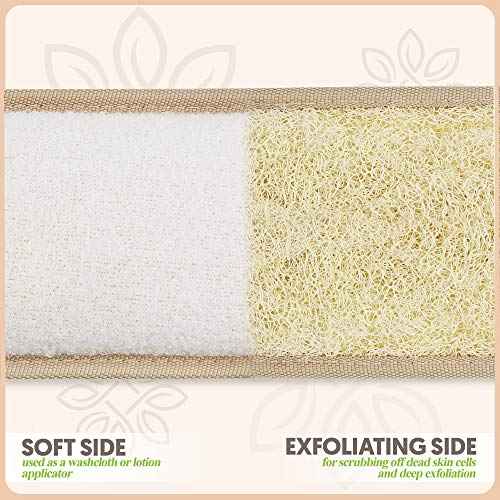 Almooni Natural Egyptian Loofah Back Scrubbers for Use in Shower, Exfoliating Natural Loofah Back Scrubber for Shower for Men and Women to Clean Your Back Deeply - 1 Count (1 Pack)