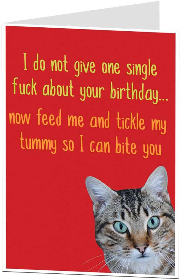 LimaLima Funny Birthday Card Cat Pet Theme Rude Offensive Perfect For Owner Lover Men & Women