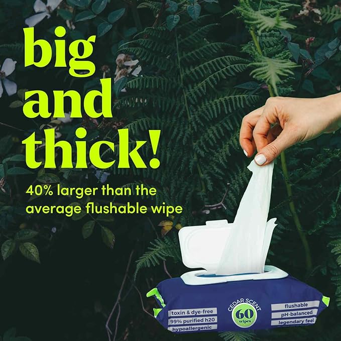 goodwipes Flushable Butt Wipes Made with Vitamin E & Aloe - Soft & Gentle Wet Wipe Dispenser for Home Use, Septic & Sewer Safe - Largest Adult Toilet Towelettes - Cedar, 180 Count (3 Packs)
