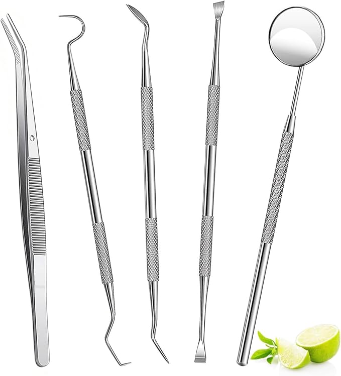 Dental Tools and UV-C Cleaning and Storage Box for Stainless Steel Teeth Cleaning Tools Electric toothbrushes and Various Oral Hygiene Devices