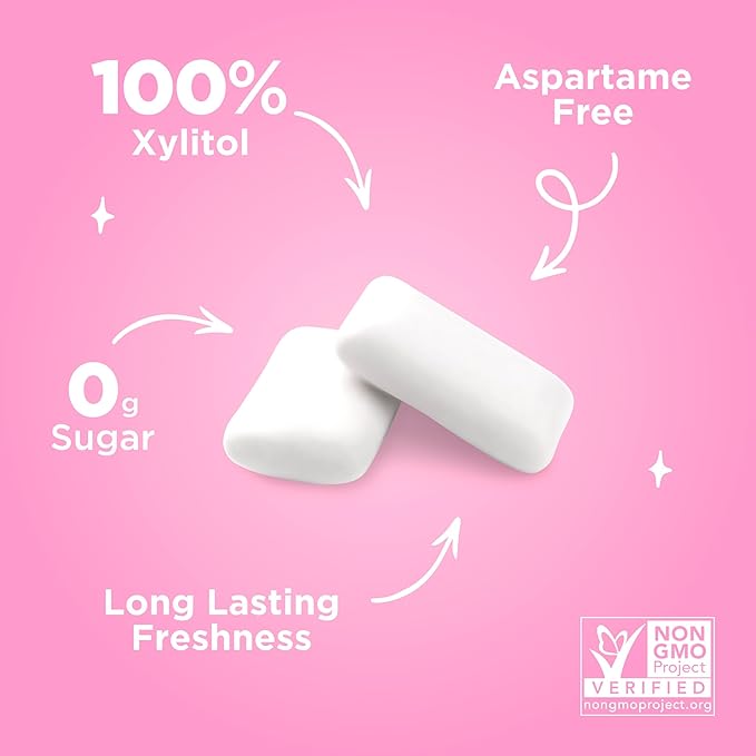 PUR Gum | Aspartame Free Chewing Gum | 100% Xylitol | Natural Bubblegum Flavored Gum, 55 Pieces (Pack of 1)