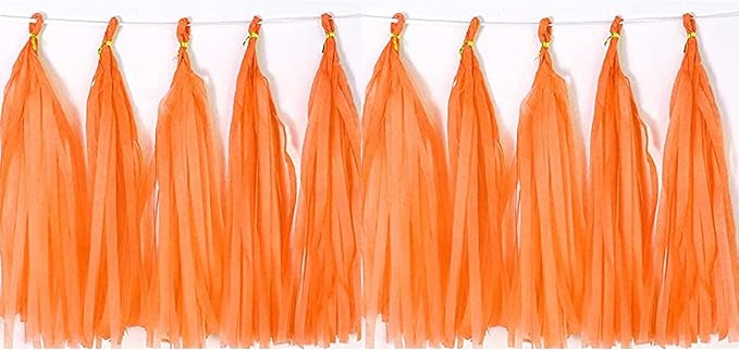 Tissue Paper Tassels Garland Banner Table Decor Party Banner Wedding Birthday Baby Shower Nursery Party Decorations Supplies (20, Orange)
