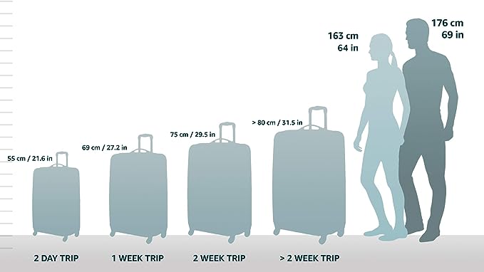 Rockland Melbourne Hardside Expandable Spinner Wheel Luggage, Checked Large 28", Orange