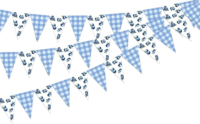 Jollyboom Blueberry Baby Shower Decorations, 3pcs Pennant Banner Triangle Garland Flags Paper Pre-Strung 8.3 x 5.9 inches for Baby Shower Birthday Party Blueberry Fruit Indoor Outdoor Party