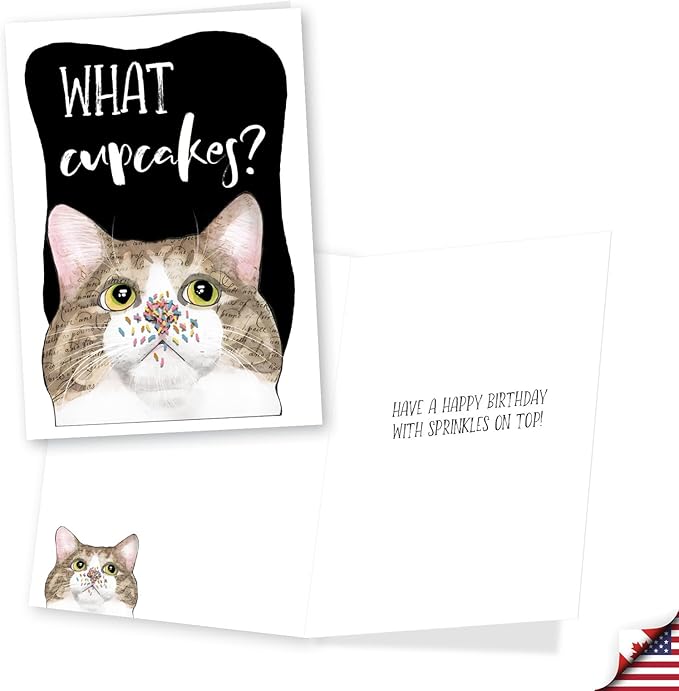 NobleWorks, Assortment Pack of 3 Funny Birthday Greeting Cards with Envelopes (3 Designs, 1 Each) Cat Antics Party VC10794BDG-C1x3