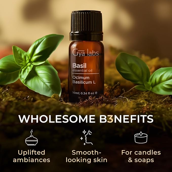 Gya Labs Basil Essential Oil - 0.34 Fl Oz - for Hair, Skin, Diffuser, Aromatherapy & DIY Candle Making Scent