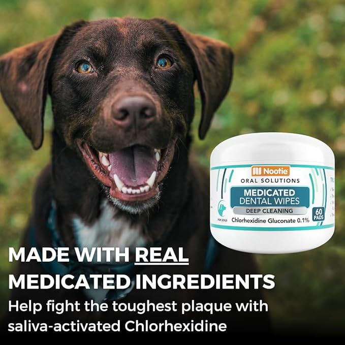 Nootie Medicated Dental Wipes for Dogs, Cleans Teeth and Freshens Breath for Dogs - Prevents Plaque and Tartar Dog Oral Care, 60 Count