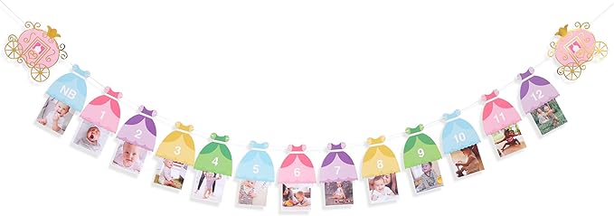 Princess 12 Month Photo Banner - Princess Birthday Party Decorations,Gril First/1st Party Bunting,Photo Prop Banner (Princess-2)