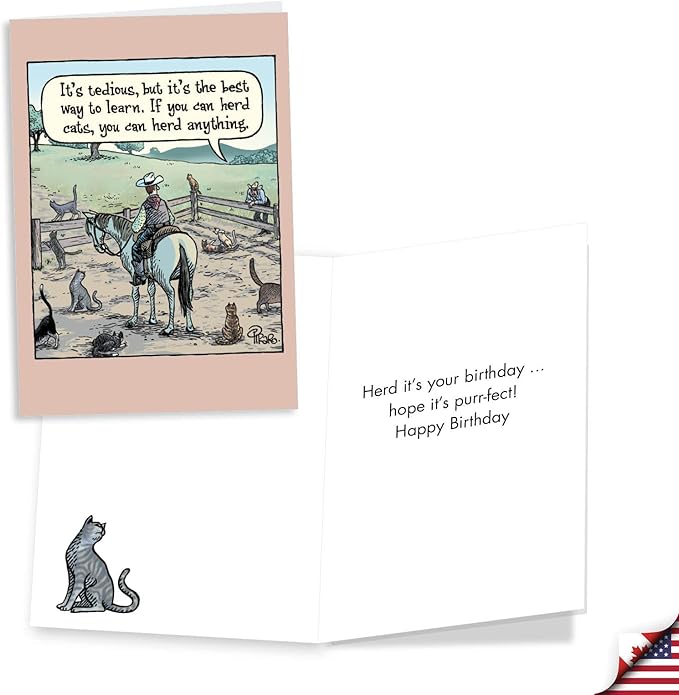 NobleWorks Assortment Pack of 3 Funny Birthday Greeting Cards with Envelopes (3 Designs, 1 Each) Celebration Toons VC8124BDG-C1x3