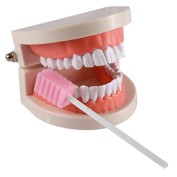 (50 Pack) Disposable Oral Swabs, Sterile Dental Sponge Swabsticks Unflavored for Mouth or Gum Cleaning