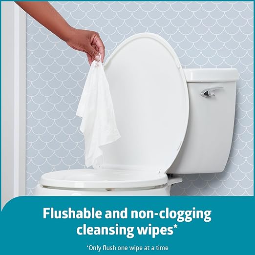 Medline ReadyFlush Flushable Wipes (60 Wipes per Tub), Scented, Biodegradable Flushable Incontinence Wet Wipes for Adults with Aloe, Hypoallergenic & pH-Balanced Personal Cleansing Cloths